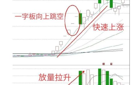 技术股和资金股怎么分配合理（技术股和资金股怎么分配三个人）