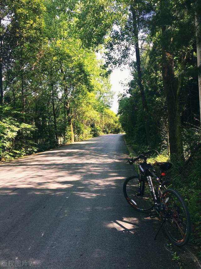 小孩自行车哪个牌子好，山地自行车_喜德盛_男孩儿的最爱