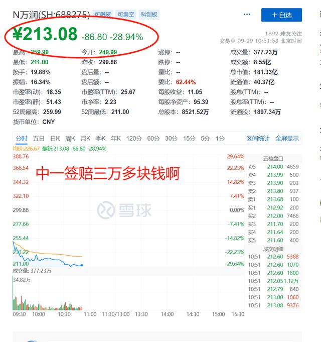 股票中签是什么意思，股票中签是什么意思股票中签后怎么办