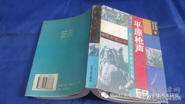 又大又烫李淑敏，大汉奸卖国贼刘中正的可耻下场（孙凤来）