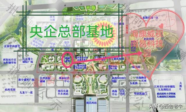 熊猫矿机创始人郭伟城，熊猫矿机托管骗局