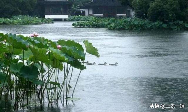 广州市夫气预报，夫气预报15天