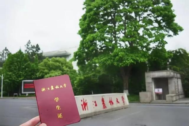 浙江一668分考生，不报985大学选双非高校，别以为是笨实际很聪明