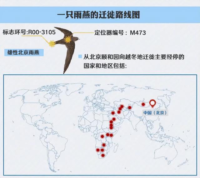 郑州商城遗址是商代早中期的都城遗址，商王城在西北高原