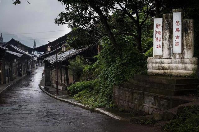 易商道，中国茶叶的千年旅程从茶马古道到万里茶道