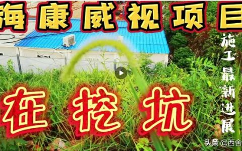 熊猫矿机创始人郭伟城，熊猫矿机托管骗局