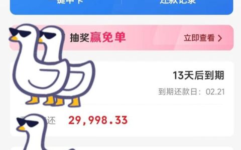 以贷养贷4万两年会多少，真实经历负债11万_正在想办法努力上岸，