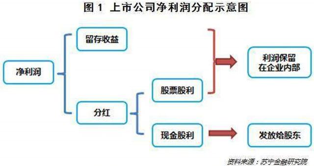 股票分红怎么算的炒股百科｜什么是分红、除权、除息？