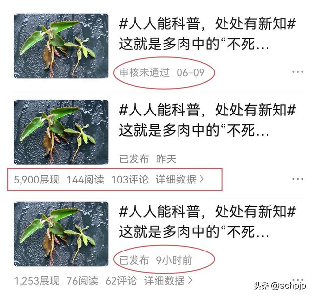 初审过了复审被拒概率，头条审核遇阻？过审没流量、没阅读？快来看看！问题在这里