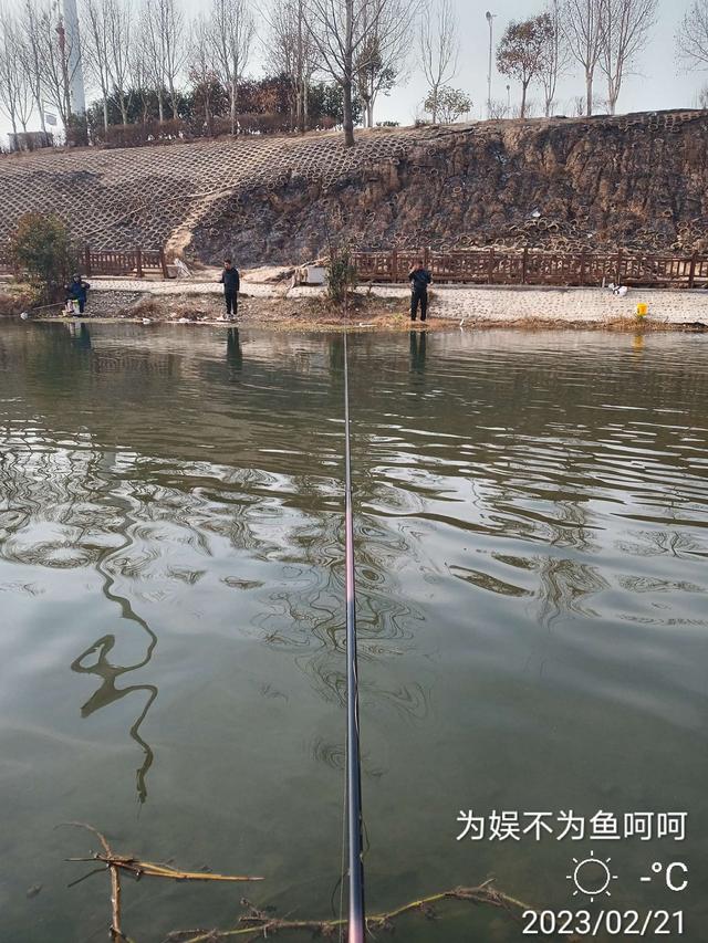 七星钩钓白条技巧讲解视频，【钓鱼之家虾粉】好天气，好日子，好饵料，轻松过百不是梦