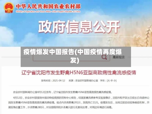 疫情爆发中国报告(中国疫情再度爆发)