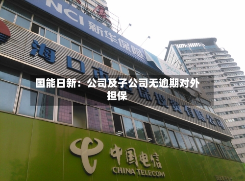 国能日新：公司及子公司无逾期对外担保