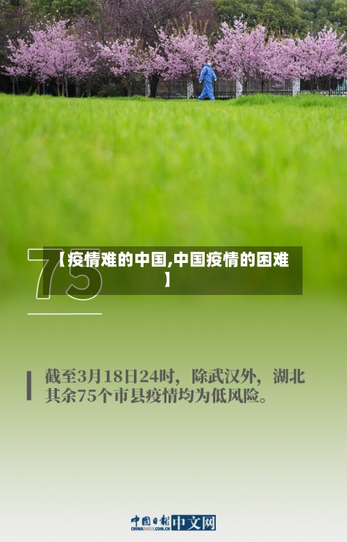 【疫情难的中国,中国疫情的困难】