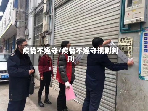 疫情不遵守/疫情不遵守规则判刑