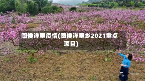 闽侯洋里疫情(闽侯洋里乡2021重点项目)