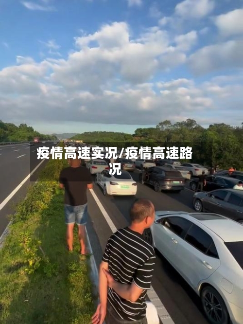 疫情高速实况/疫情高速路况
