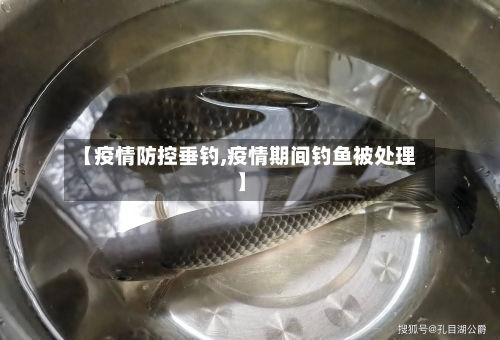 【疫情防控垂钓,疫情期间钓鱼被处理】