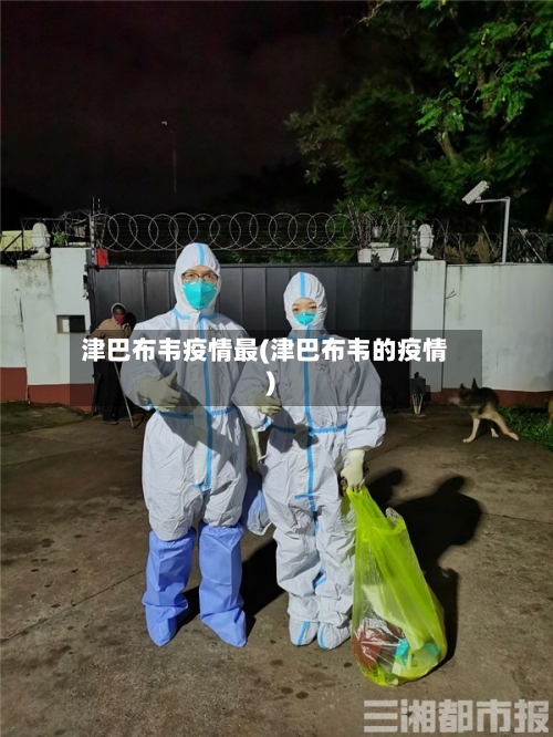 津巴布韦疫情最(津巴布韦的疫情)