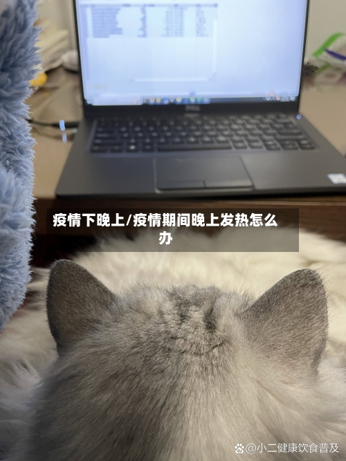疫情下晚上/疫情期间晚上发热怎么办